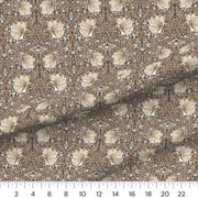 Warm Neutral