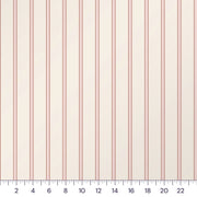 Blush & Cream
