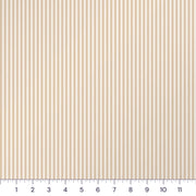 Warm Beige