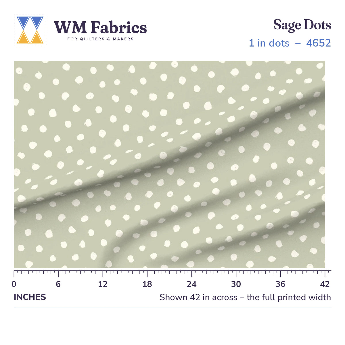 Sage Dots fabric shown 42 inches across with a ruler for true print scale