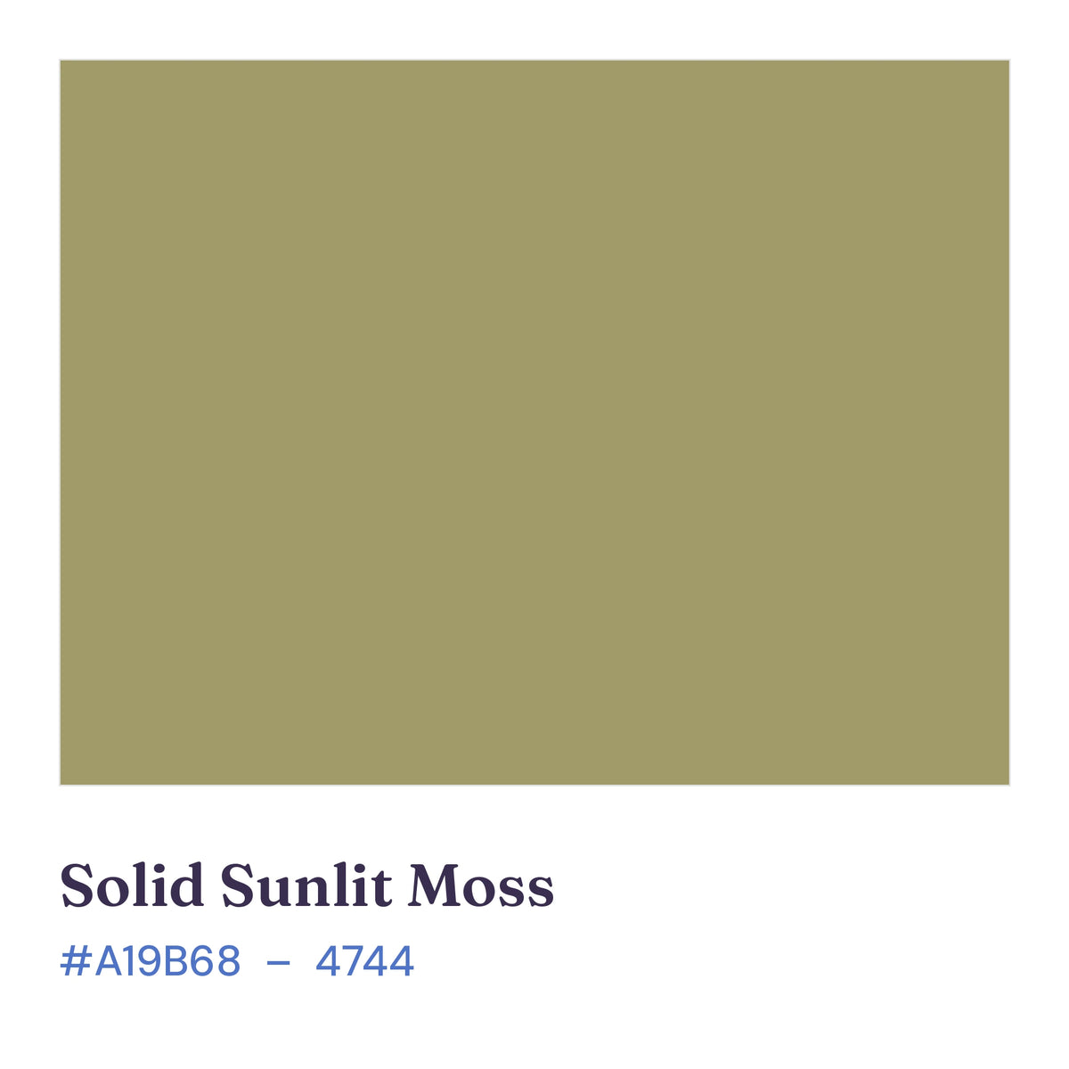 Sunlit Moss solid quilting cotton color swatch, #A19B68